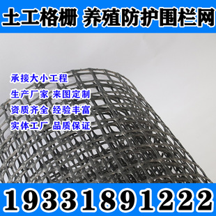 宁夏养鸡养鸭围栏网塑料网土工格栅网户外防护隔离网鸡圈网厂地