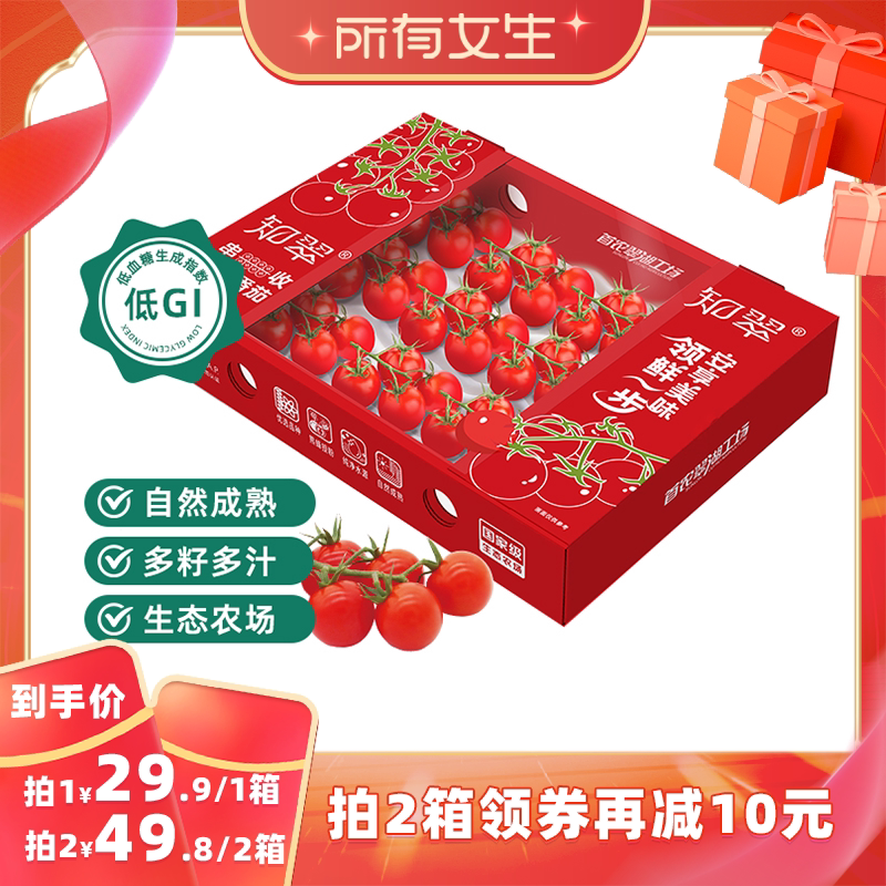 【所有女生直播间】知翠车厘串樱桃小番茄生吃西红柿小柿子水果 - 实物图