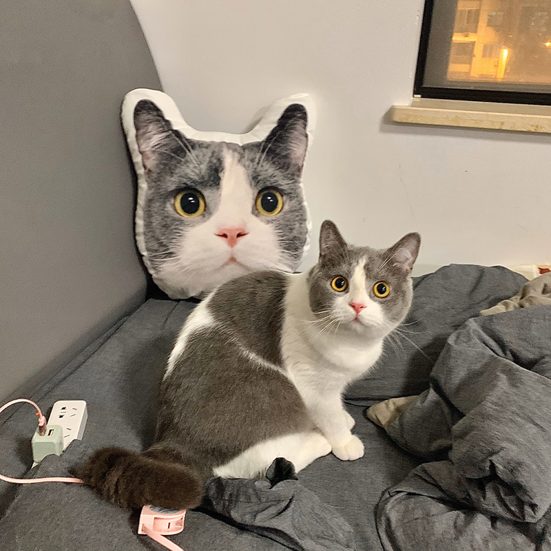 定制抱枕diy猫咪宠物照片订制猫头枕头人形猫异形脸狗狗靠垫