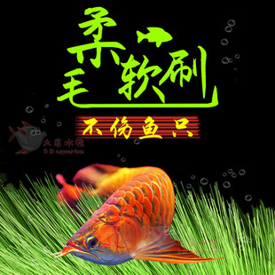 孵化草孵化毛刷锦鲤产卵草水产繁殖鱼卵孵化刷金鱼鱼巢孵化刷包邮