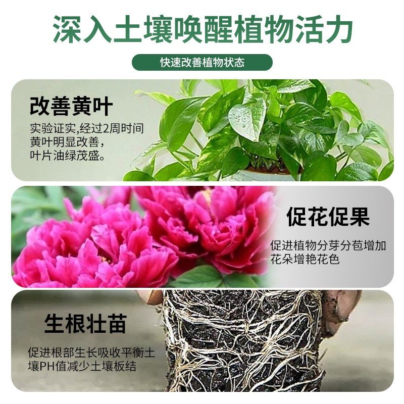植物营养液通用型适合种花草绿萝幸福树多肉兰花绿植盆栽养花肥料,鲜花速递/花卉仿真/绿植园艺,介质/营养土,淘宝优惠券,粉丝福利购,淘宝优惠卷