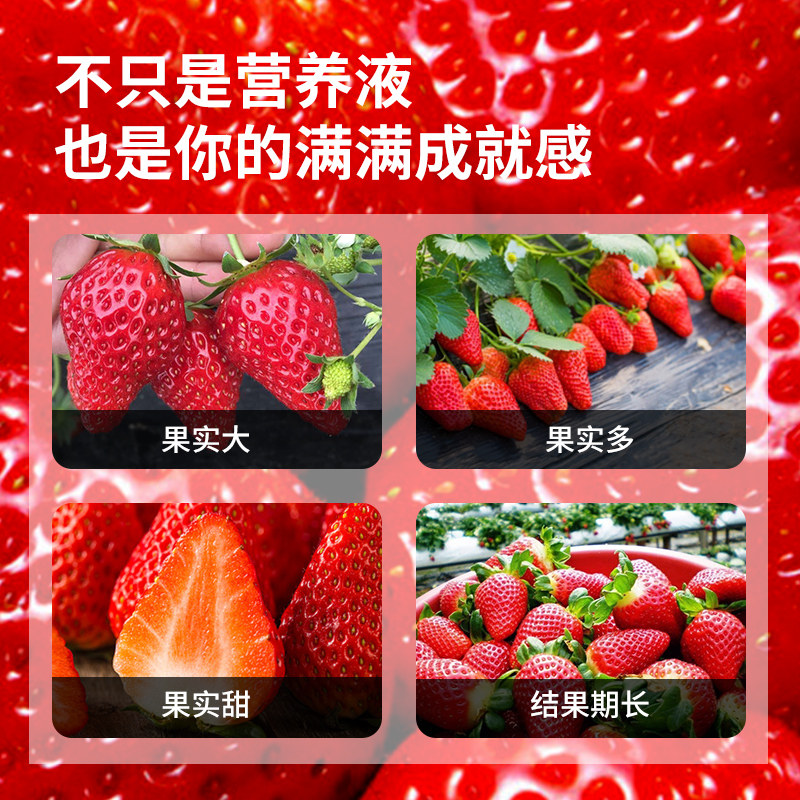 草莓营养液肥料专用肥膨大增甜家用盆栽植物施肥通用型有机水溶肥,鲜花速递/花卉仿真/绿植园艺,家庭园艺肥料,淘宝优惠券,粉丝福利购,淘宝优惠卷