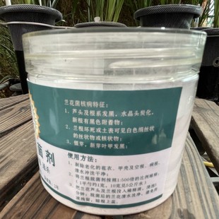 保根護根1 500倍液稀釋浸泡5分鐘 蘭花護根營養液 蘭根脫菌劑
