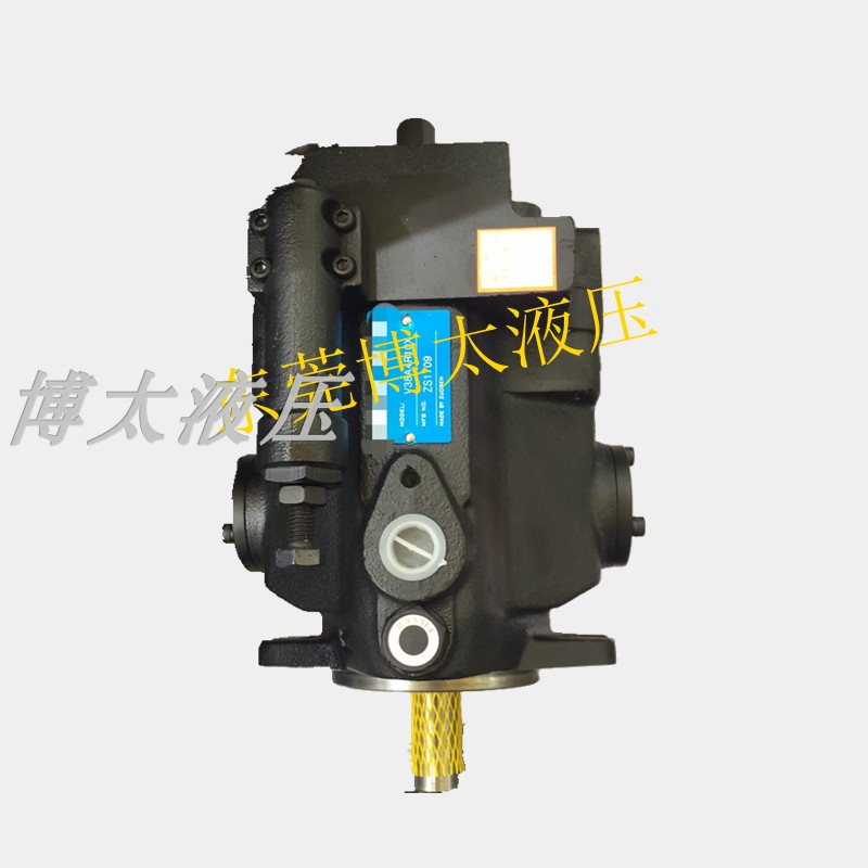 高压泵V15/V2/V18/V/V8/V21R/2R/R/R10X油泵柱塞泵