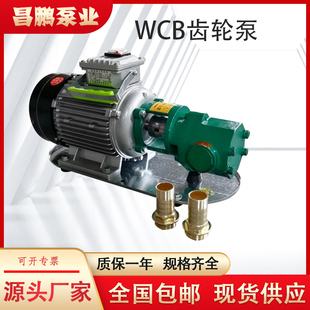 W小型油泵  携式齿轮泵 汽柴油泵 自吸式抽油泵