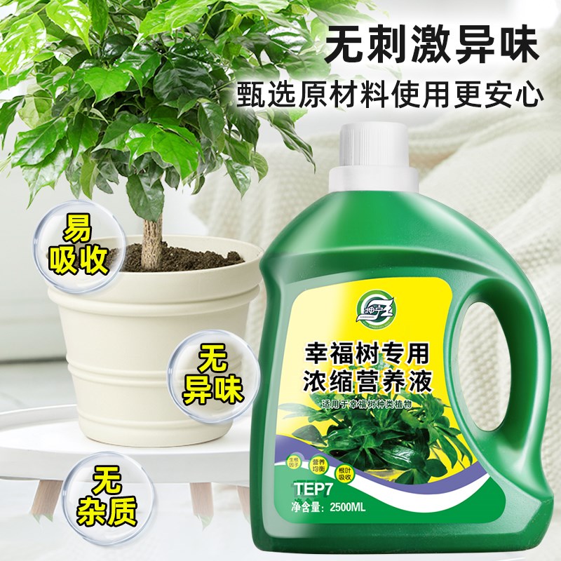幸福树专用营养液肥料专用肥治落叶掉叶黄叶室内绿植养花花肥通用