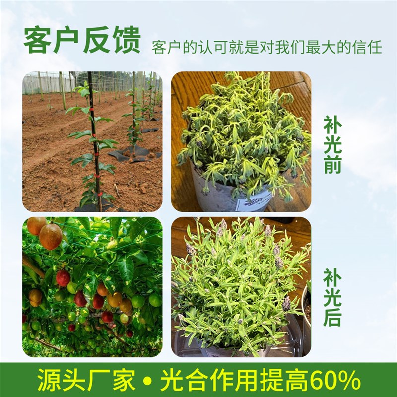 led植物补光灯全光谱仿阳光折叠上色多肉盆景月季室内阳台生长灯