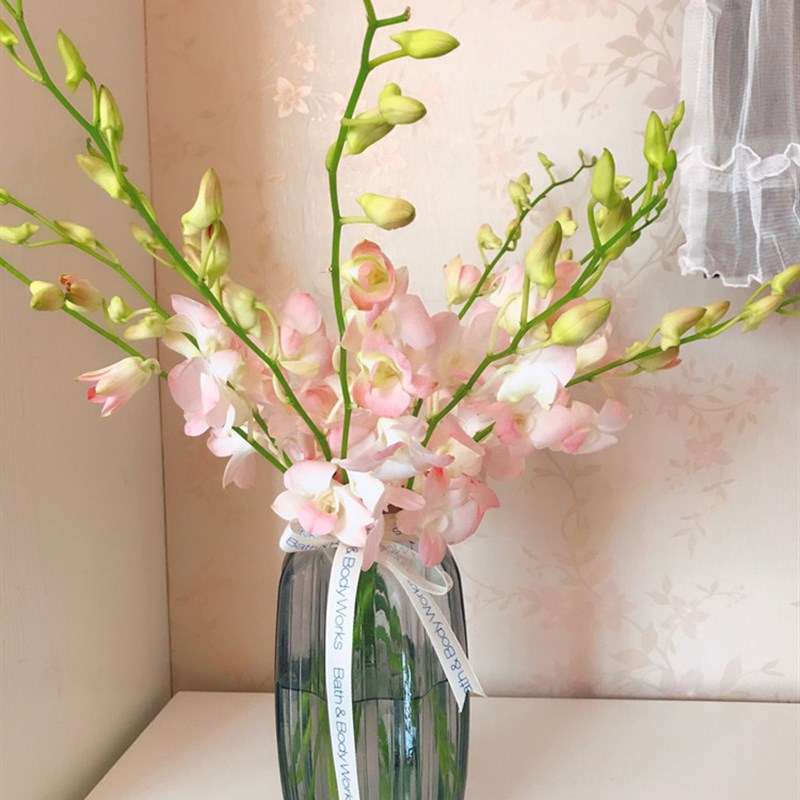 云南昆明鲜花直批洋兰杨兰千代兰万代兰插花装饰泰国进口洋兰直发