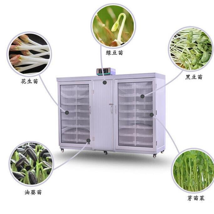 山东芽苗机商用一机多用花生芽机全自动芽苗菜机豌厂家价格
