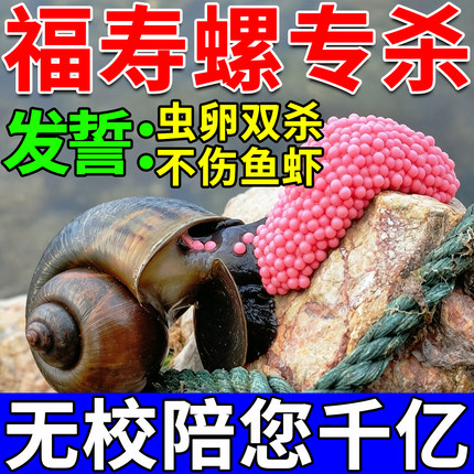 福寿螺专杀专用药水稻田河道鱼塘缸灭螺蜗牛鼻涕虫特效药不伤鱼虾