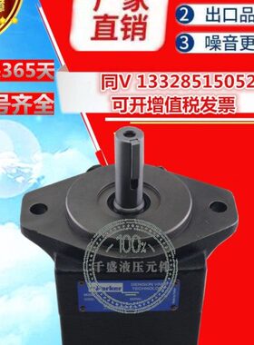DENISON丹尼逊叶片泵T7B-B10-1R00-A1M0油泵  T7BS-B10-1R00-A1M0