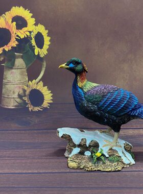 树脂摆件自制原创家居装饰品动物手工防真模型鸟类绿尾虹雉模型