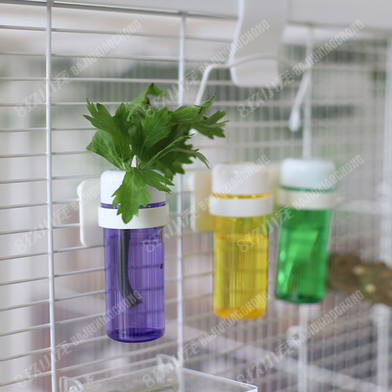 8玖-鹦鹉蔬菜保鲜罐牡丹玄凤水培青菜果蔬篮蓄水喂食器鸟食盒