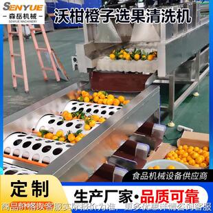 沃柑分选清洗机苹果全自动洗果机保鲜机分级机桃子清洗机选果机器