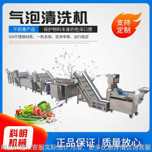 全自动果蔬气泡清洗机高压喷淋大姜去泥洗菜机胡萝卜清洗流水线