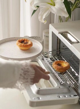 LUD巴慕达蒸汽烤箱家用小型电烤箱复烤面包台式烘焙迷你烤箱