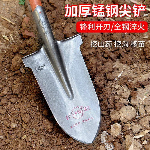铁锹锰钢农具长头铁锨木柄尖头大锹农用窄铲子全钢土泥锹挖树专用