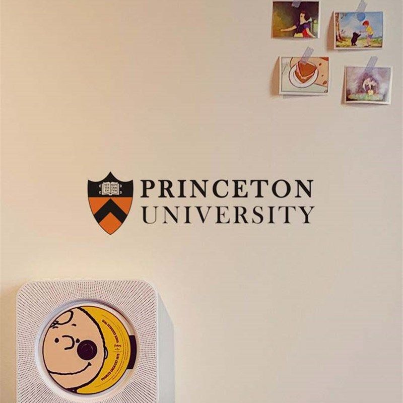 inon普林斯顿大学墙办公室玻璃纸装饰个性创意车咖啡,家居饰品,文化墙贴,淘宝优惠券,粉丝福利购,淘宝优惠卷