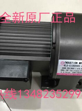G13H200S-165 G13V400S-120 G11V200S-100 G11V200S-M18 KLS电机
