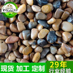 普通五彩雨花石五彩石鹅卵石子石春彩色卵石头鱼池装饰铺路石水洗