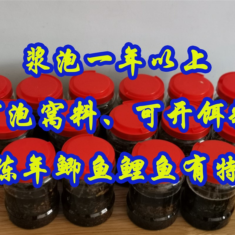 药酒饵料窝料野钓鱼饵鲫鱼鲤鱼中药秘方泡酒自制小药酒米阿魏打窝