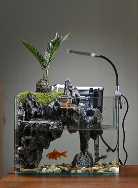 流水版鱼缸造景全套生态小型客厅桌面装饰摆件水草缸真植物水陆缸