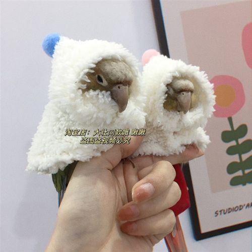 羊贵妃款鸟衣服鹦鹉披风斗篷加厚保暖外出鹦鹉用品