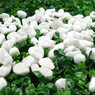 彩色石头 五彩石子白色石头 园艺装饰用品水培花瓶鱼缸专用石头