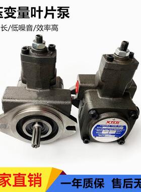 工厂变量叶片泵VP20FA3液压泵总成VP15FA3液压油泵头SF液压站配件