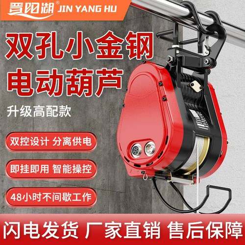 小金刚电动葫芦220v变频无刷升降机提升机可调速度吊机起重葫芦