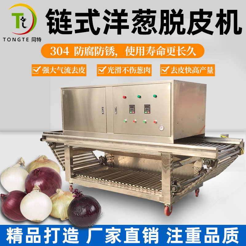 空压大气流洋葱剥皮机去皮机 大型不锈钢链式流水线洋葱脱皮机
