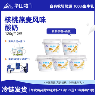华山牧核桃燕麦风味酸奶120gx12碗营养发酵奶国风酸奶碗风味饮品