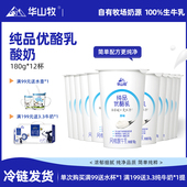 华山牧纯品优酪乳酸奶180g 12杯多口味可选营养国企出品低温冷链