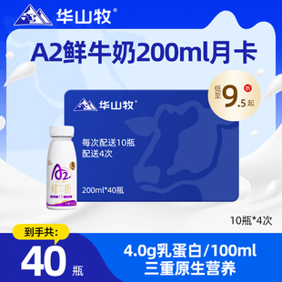 华山牧A2鲜牛奶4.0g蛋白营养早餐奶200mLx10瓶 箱新鲜日期月卡