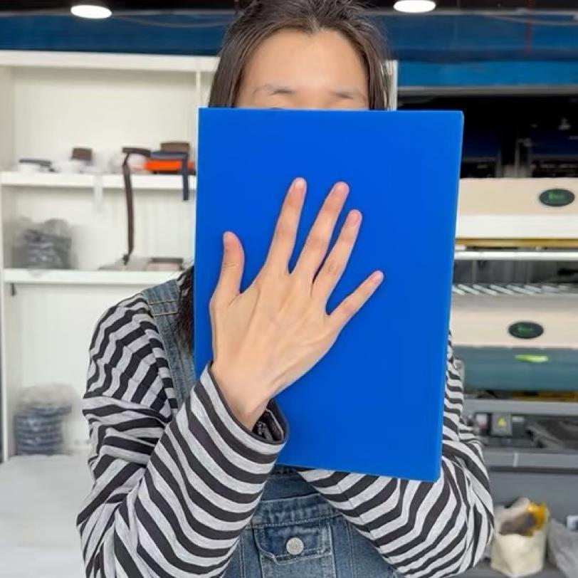 生物蓝垫记忆海绵垫层床垫加硬神器海绵基床小垫偏硬生物基小替换