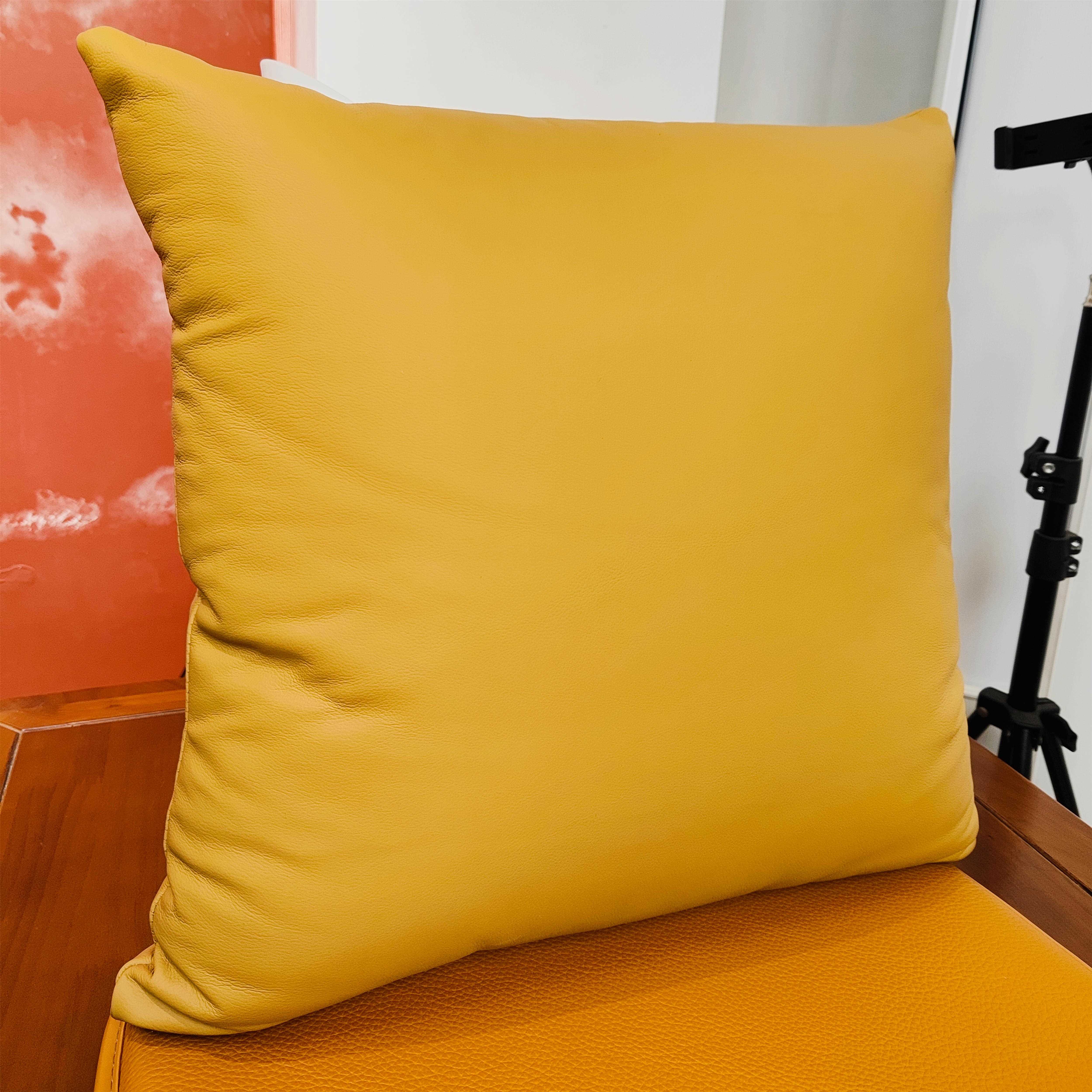 色现代简约ins纯色居家抱靠YKM枕垫北欧多体休闲沙客发厅靠腰靠垫