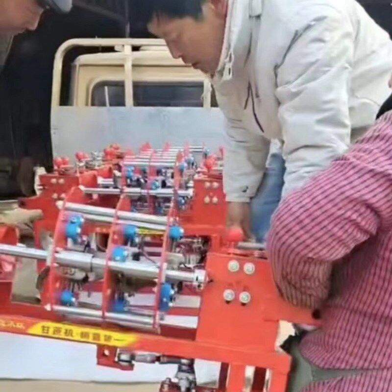 全自动甘蔗去皮机商用甘蔗削皮机多功能仿手工甘蔗刨皮机去皮神器