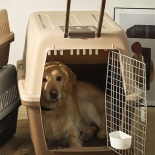 狗狗航空箱大型犬宠物狗笼子托运箱子外出便携车载中型专用太空箱