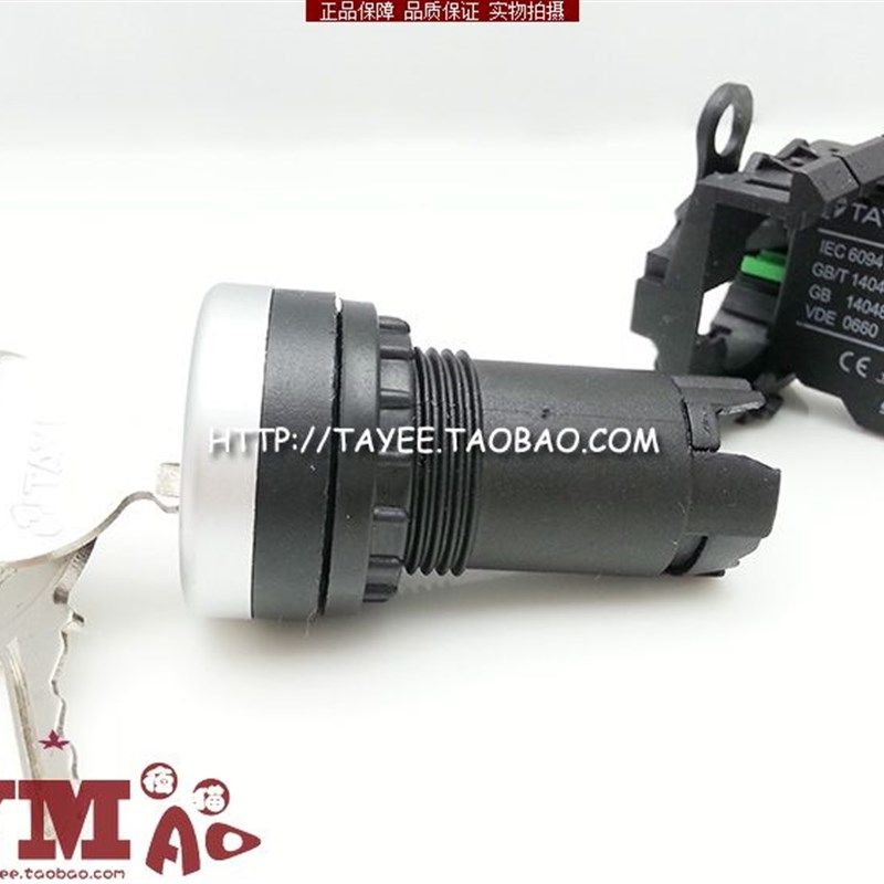 上海天逸22mm两档钥匙关L2Y2P-1/B两位钥匙转换平头一常