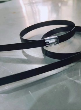 黑色喷塑扎带自锁式.mm*mmmm扎丝线束带