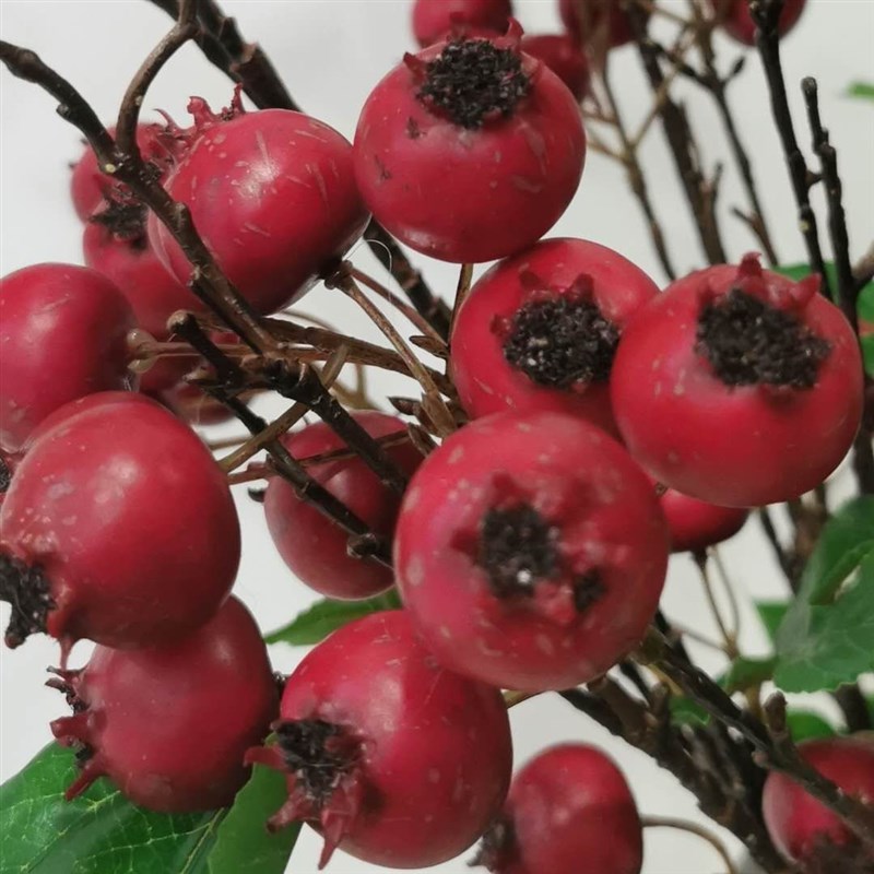 仿真山楂果实树枝树杈定制大型山楂树植物绿植假树软装花瓶搭配
