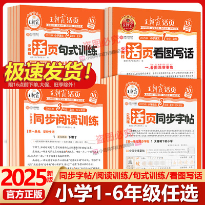 王朝霞小学语文字词句段篇专项练