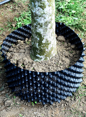 槟榔树专用护根器 黑色塑料围板 果树树苗阻根板加厚围树板控根器