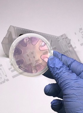 顺生电子 2英寸IC级抛光片SIO2二氧化层硅片热氧化制备干氧工艺