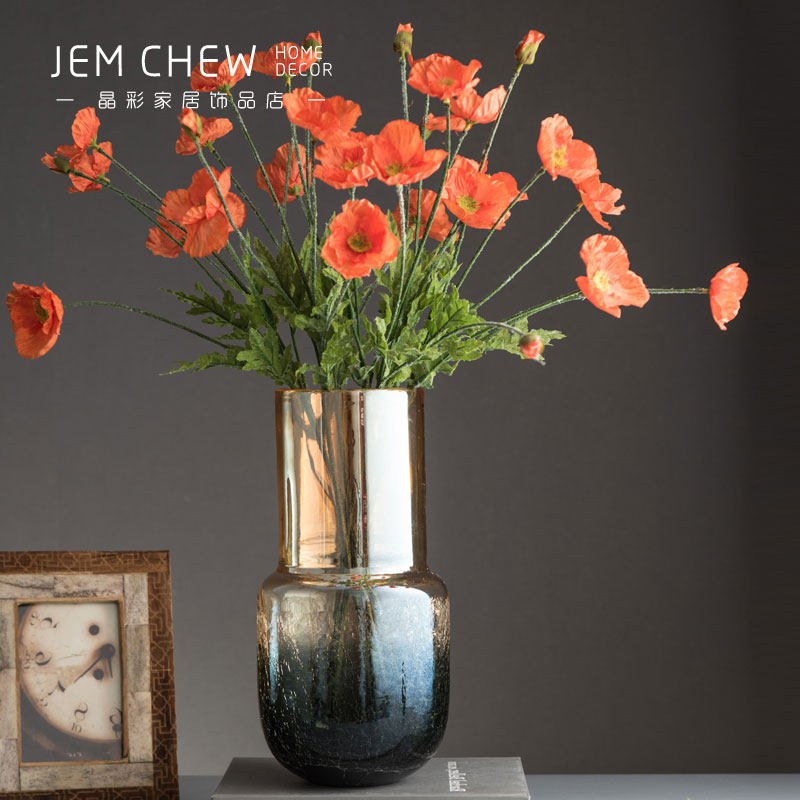 北欧冰裂渐变风玻璃透明插干花花瓶家用水养富贵竹百合鲜花瓶子,鲜花速递/花卉仿真/绿植园艺,花瓶,淘宝优惠券,粉丝福利购,淘宝优惠卷