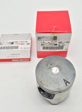 DT200WR 活塞/活塞环