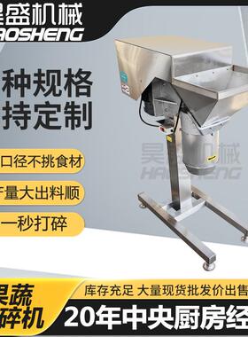 现货供应小黄姜打碎机雪梨苹果商用打碎设备商用芹菜打碎机器