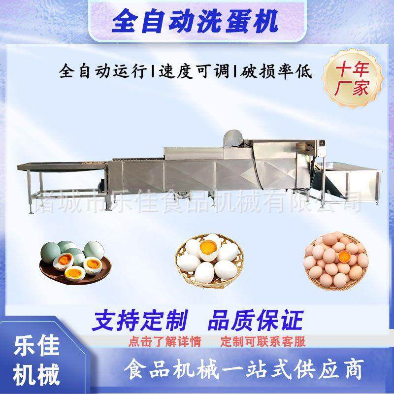 全自动土鸡蛋清洗机无菌蛋清洗烘干杀菌光检一体机双排洗蛋机