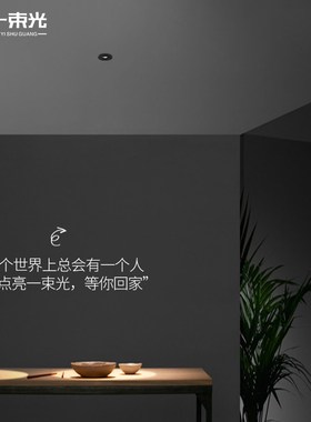 一束光聚光射灯嵌入式光圈灯餐厅清吧过道小酒馆氛围足浴店天花灯