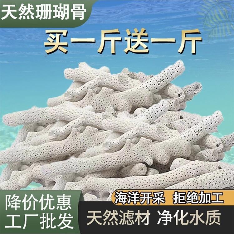 优选大珊瑚骨滤材优质天然珊瑚石鱼缸过滤材料水族箱底砂净水造景